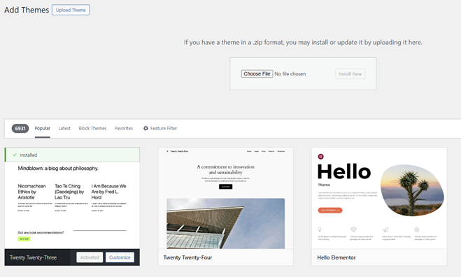 WordPress Theme View